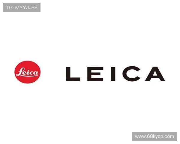 全面解析ng体育app官方下载及其使用指南